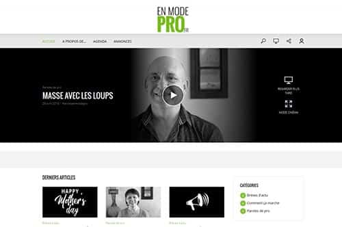 page-accueil-site-en-mode-pro.fr